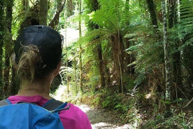 3 Day Kayak & Walk North New Zealand - Final Thoughts