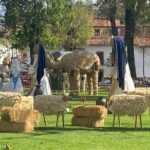 3-Day Private Guided Tour of Monarch Butterflies in Michoacan - Final Thoughts: Who Should Consider This Tour?