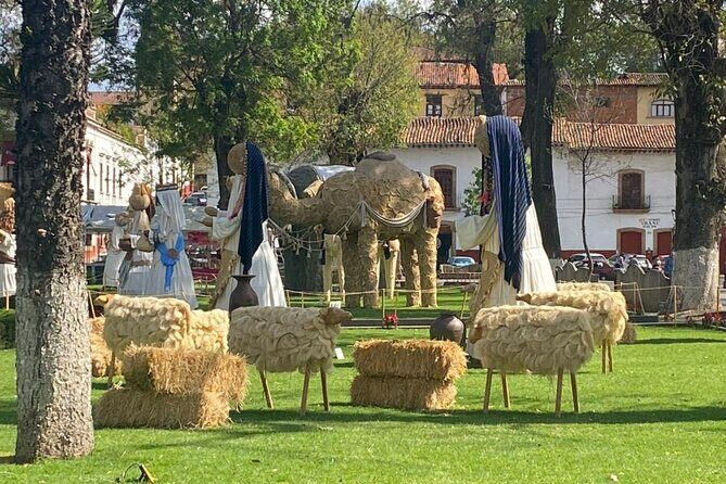 3-Day Private Guided Tour of Monarch Butterflies in Michoacan - Final Thoughts: Who Should Consider This Tour?