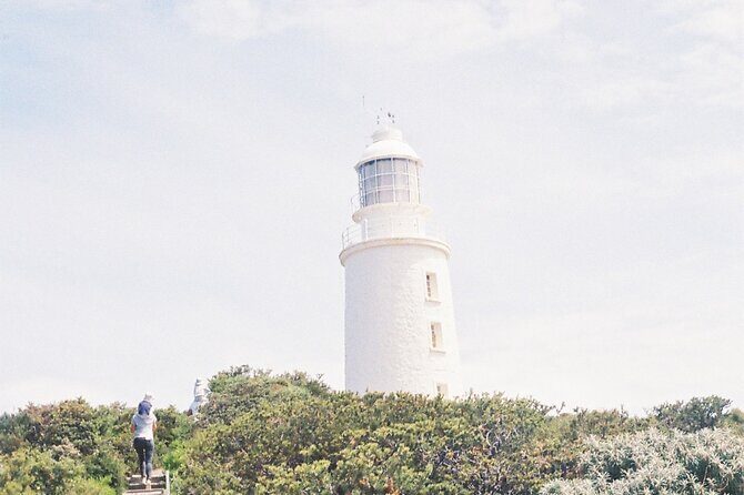 3 Day Tassie Tour Bundle Hobart, Wineglass Bay and Bruny Island - Why This Tour Delivers Value