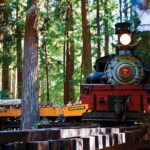 3 Day Tour to Oregon Redwood Crater Lake from San Francisco - An In-Depth Look at the 3-Day Tour Experience