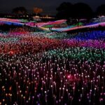 3 Days Private Pacific Tour to Big Sur Hearst Castle and more - Final Thoughts: Who Is This Tour Best For?