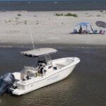 3 hour BYOB Morning Boat and Beach Excursion on Southern Charm - Who Is This Tour Best For?