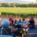 3 Hour Electric Trike Sunset Tour at Sonoma - The Experience’s Highlights and Potential Drawbacks