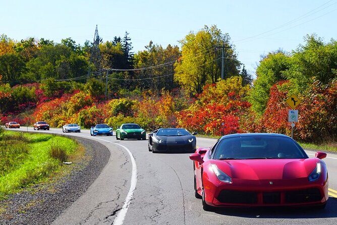 3 Hour Exotic car Tour driving 4 to 5 Super cars - The Cars and Driving Experience