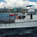 3-Hour Honolulu Bottom Fishing Adventure - The Highlights: Why This Tour Can Be a Win