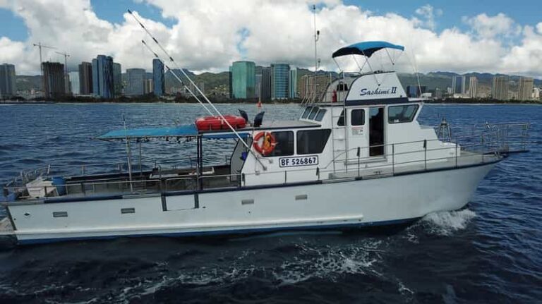 3-Hour Honolulu Bottom Fishing Adventure - The Highlights: Why This Tour Can Be a Win