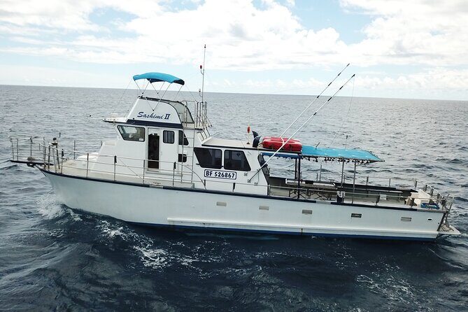 3-Hour Honolulu Bottom Fishing Adventure - Who Should Consider This Tour?