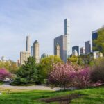 3-Hour Private Guided NYC Central Park Tour with Carrousel Ride - Who Would Enjoy This Tour?
