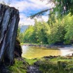 3-Hour Rainforest, Beach & Wildlife Walk - Logistics: What You Need to Know