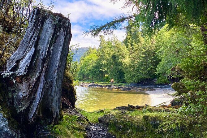 3-Hour Rainforest, Beach & Wildlife Walk - Logistics: What You Need to Know