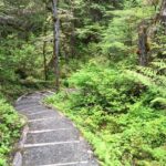 3 Hour Rainforest Walk & Totem Park Wild Wolf Tours - Final Thoughts