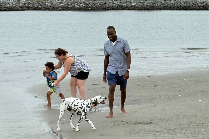 3 Hour Scenic Back Bay Tour - Practical Details and Considerations