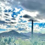 3 Hour Sonoran Desert Private Guided Mountain Bike Tour - Pricing and Value