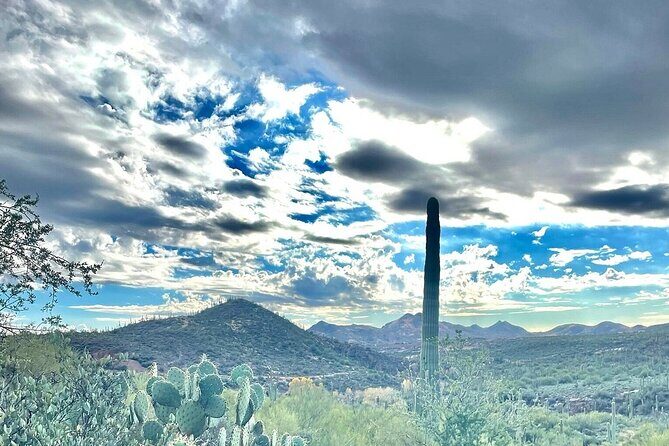 3 Hour Sonoran Desert Private Guided Mountain Bike Tour - Pricing and Value