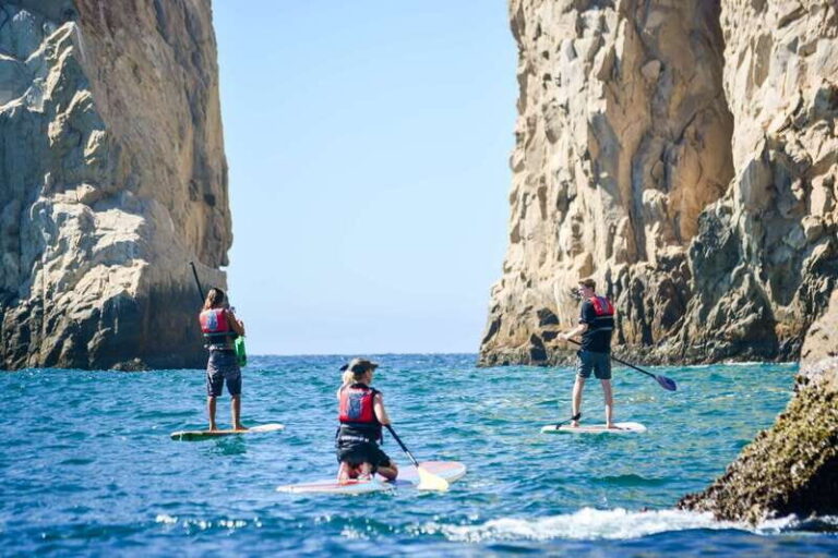 3-Hour Stand up Paddle and Snorkel at Los Cabos - Is It Worth the Price?