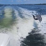 3-Hour Tikibar Private Hopping in Sarasota - The Experience on the Water