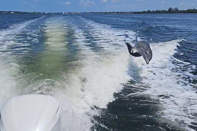 3-Hour Tikibar Private Hopping in Sarasota - The Experience on the Water