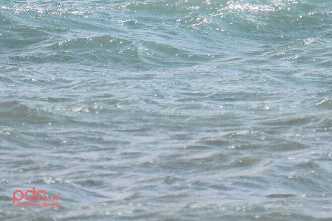 3-Hour Wing Foil Course - Who Should Consider This Course?