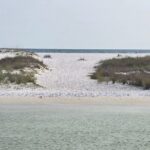 3 Hours Shell Island Experience - Who Is This Tour Best For?