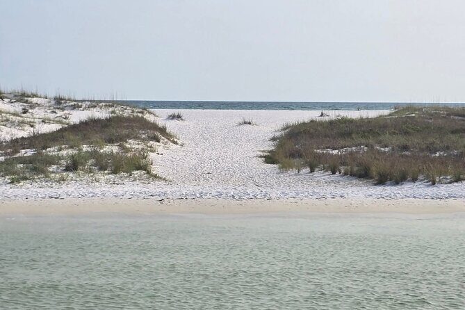 3 Hours Shell Island Experience - Who Is This Tour Best For?