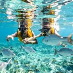 3 in 1 Snorkeling, Parasailing, with Turtle - The Itinerary: What You Can Expect