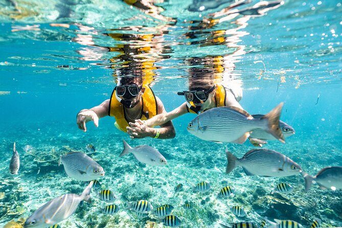 3 in 1 Snorkeling, Parasailing, with Turtle - The Itinerary: What You Can Expect