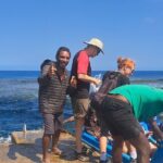 3 Nights Stay in Tanna including Accommodation, meals & transfers - Itinerary in Detail: What You Can Expect