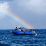 3-Tank Dive Featuring the Molokini Crater - The Sum Up