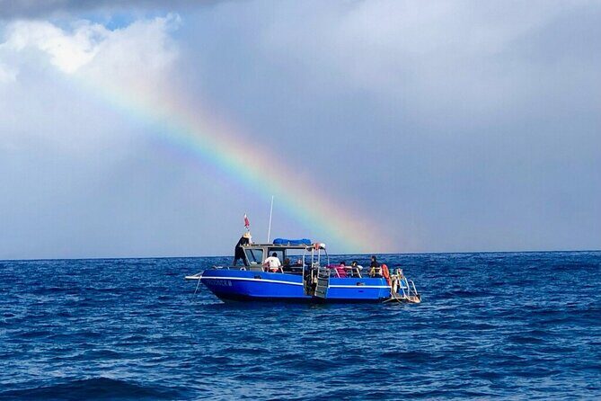 3-Tank Dive Featuring the Molokini Crater - The Sum Up