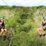 3 Ziplines & Dolphin Watching Snorkel Adventure - The Zipline Experience: What Really Makes It Stand Out