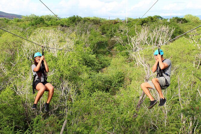 3 Ziplines & Dolphin Watching Snorkel Adventure - The Zipline Experience: What Really Makes It Stand Out