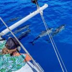 3hr Luxury Private Sailing Catamaran in Waikiki for 1 to 6 People - What You Need to Know Before Booking