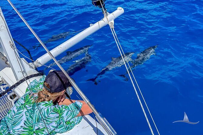 3hr Luxury Private Sailing Catamaran in Waikiki for 1 to 6 People - What You Need to Know Before Booking