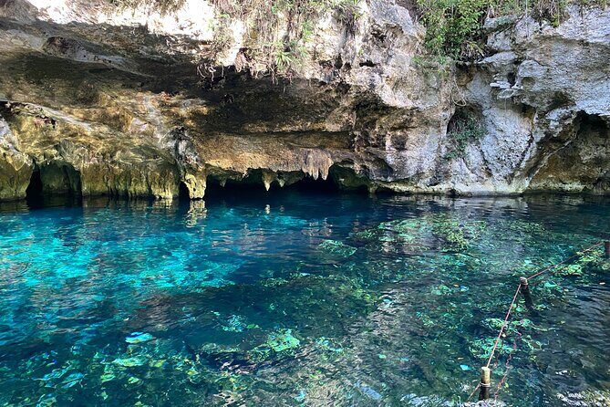 4 best spots in Cancún 1day! CHICHÉN ITZÁ, 2CENOTES, PINK LAKE - Final Thoughts: Who Is This Tour Perfect For?