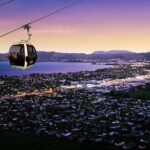 4-Day Auckland to Wellington via Rotorua Tour - What Makes This Tour Stand Out?