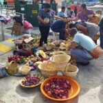 4 Day Oaxaca Excursion with Transfer included - Transportation, Group Size, and Overall Value