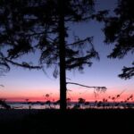 4-Day Olympic Backpacking Tour in North Coast - What We Think About the Price