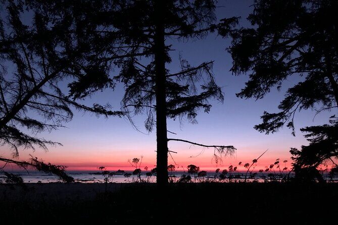 4-Day Olympic Backpacking Tour in North Coast - What We Think About the Price