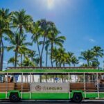 4 Day Pass LeaLea Trolley and Waikiki Trolley Pink Line - The Value of Scenic Views and Flexibility