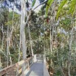 4-Day Private Coastal Escape from Sydney to Mid North Coast - Exploring Port Macquarie