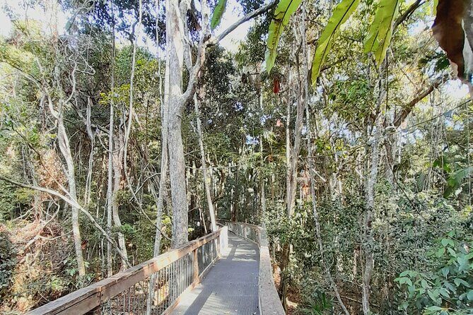 4-Day Private Coastal Escape from Sydney to Mid North Coast - Exploring Port Macquarie