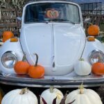 4 Days Canadian Rockies Fall/Spring Tour - The Value for Your Money