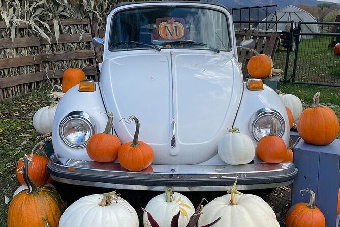 4 Days Canadian Rockies Fall/Spring Tour - The Value for Your Money