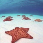 4 Days Yoga, Snorkel and Horseback Riding in Cozumel - The Accommodation and Facilities