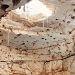 4 different cenotes with food from Merida - What Does the Tour Offer for the Price?