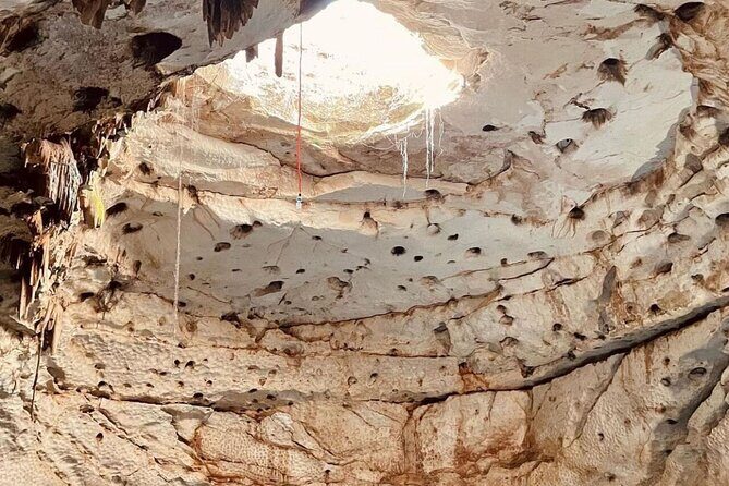 4 different cenotes with food from Merida - What Does the Tour Offer for the Price?