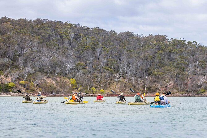 4 Hour Aboriginal Culture Tour Kayaking Pambula River - The Sum Up
