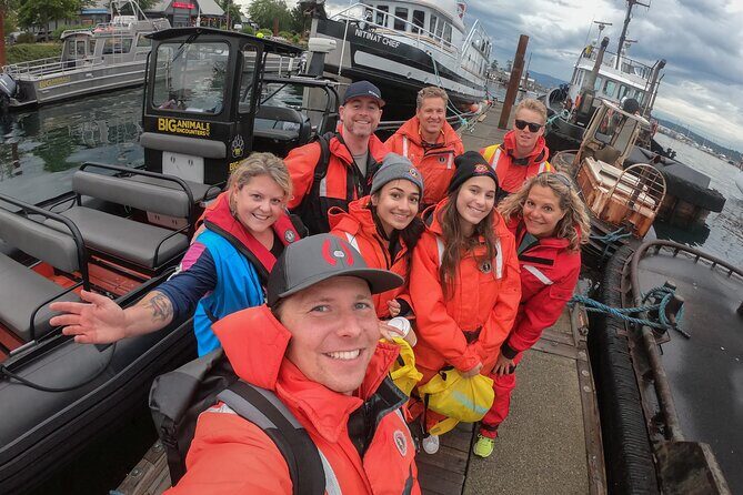 4 Hour Afternoon Whale Watching Tour - The Practicalities and the Experience