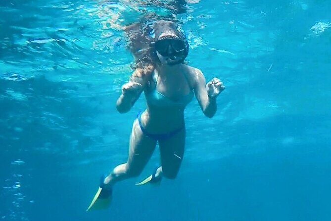 4 Hour Egmont Key Island Tour With Dolphins & Snorkeling Included - Final Thoughts